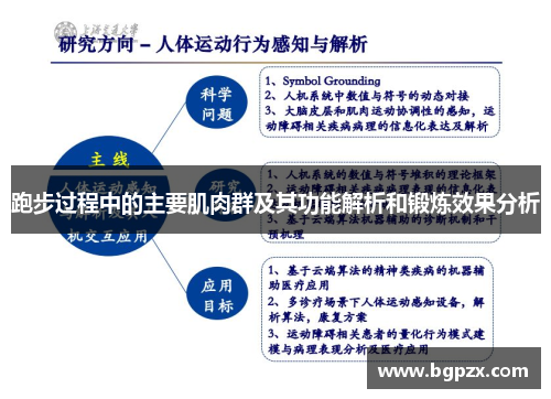 跑步过程中的主要肌肉群及其功能解析和锻炼效果分析